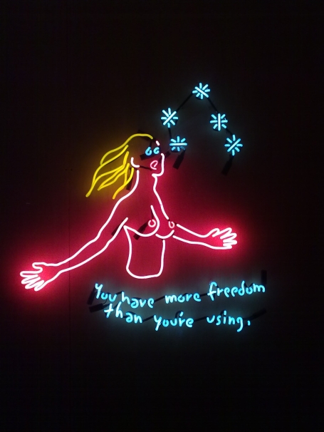 "You Have More Freedom Than You're Using" by Dan Attoe, a piece of neon art showing a bare lady